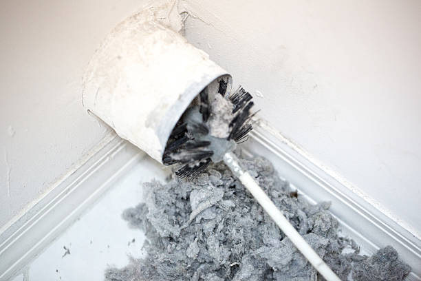 Best Affordable Duct Cleaning Services  in Holden Heights, FL